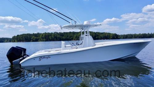 Yellowfin 29 fiche technique et avis